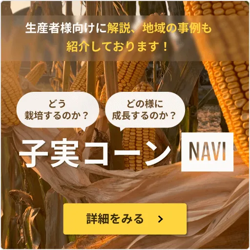 cornnavi