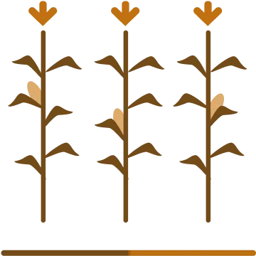 飼料穀物種子事業部