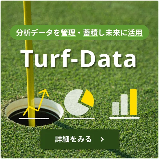 turf